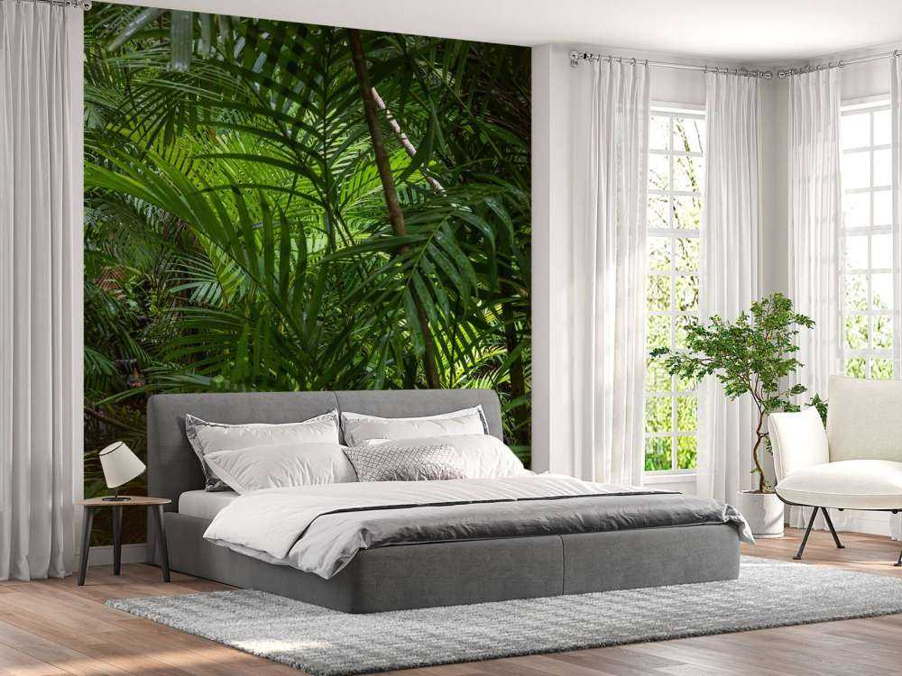 Forêt tropicale humide