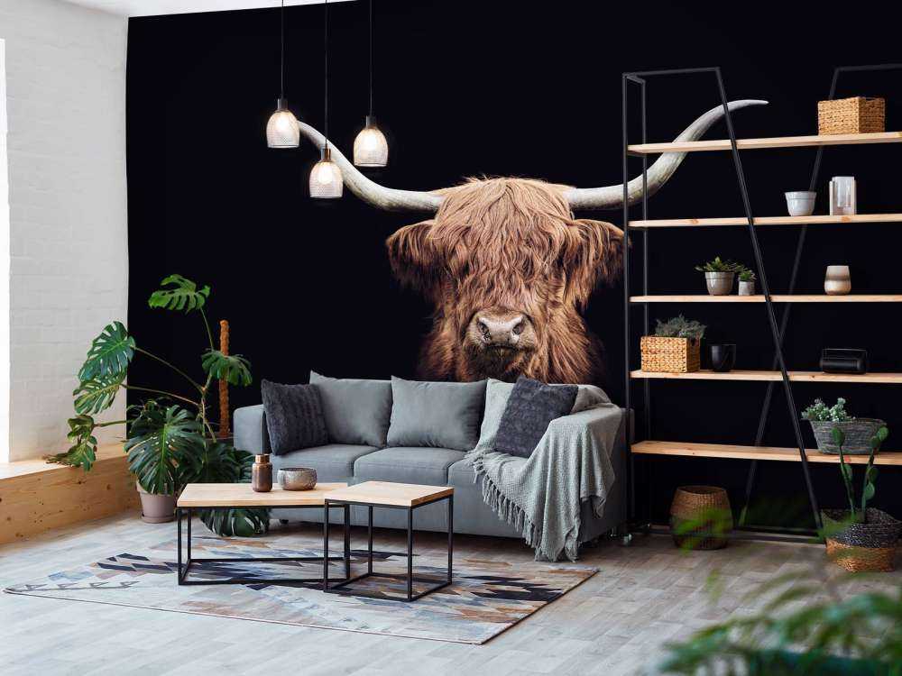 Highland écossais Vintage