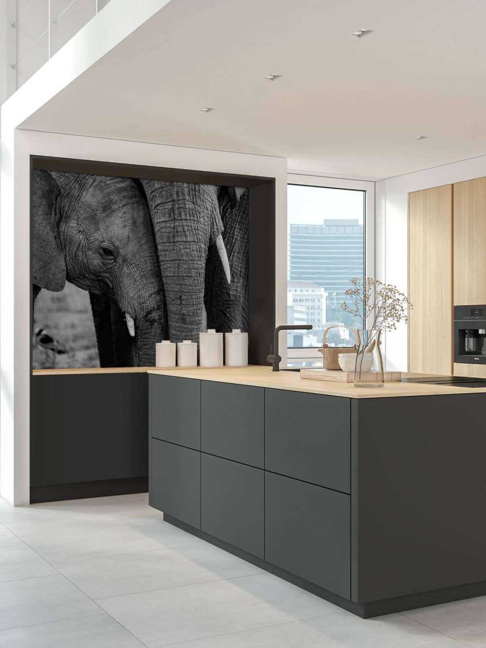 Câliner les éléphants