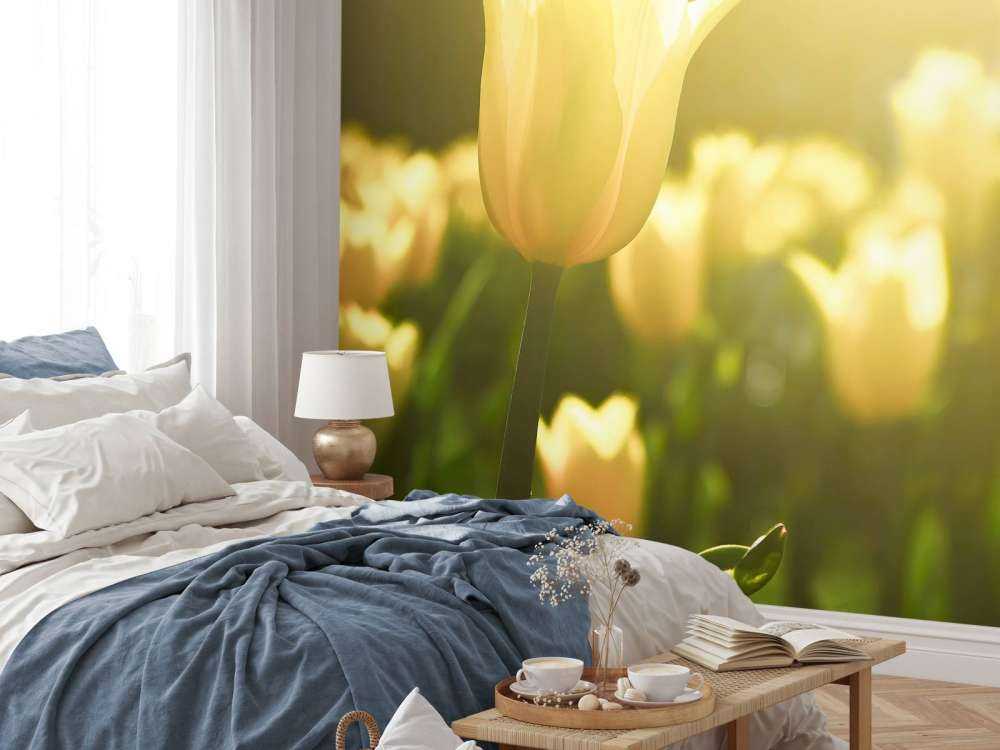 Gros plan sur la tulipe jaune