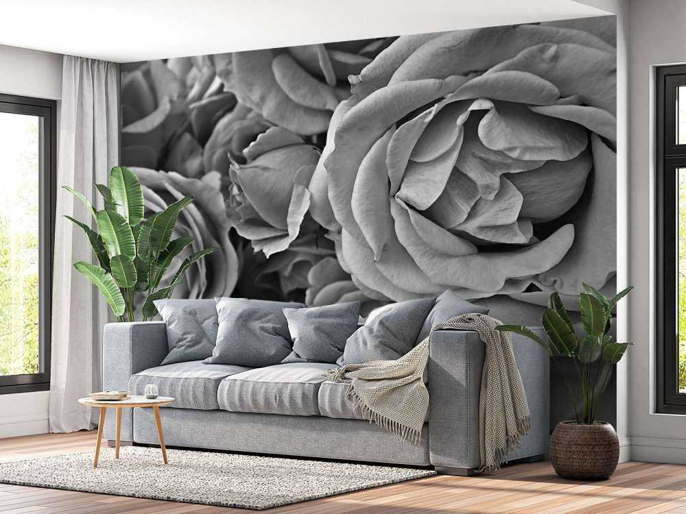 Les roses en noir et blanc