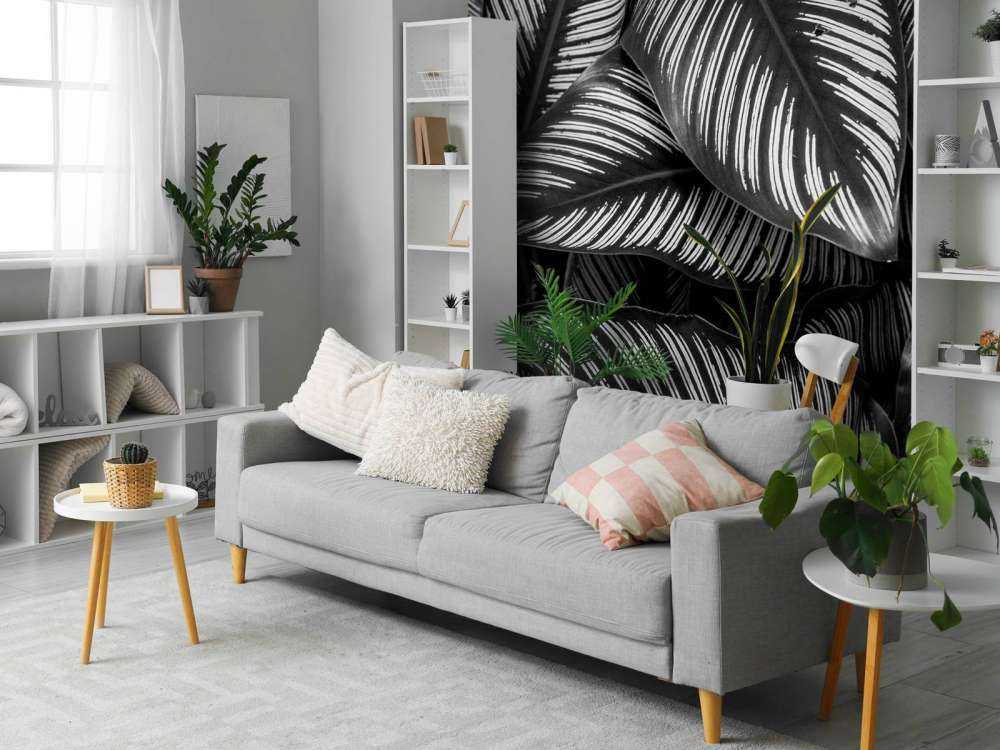 Feuilles de palmier noires et blanches