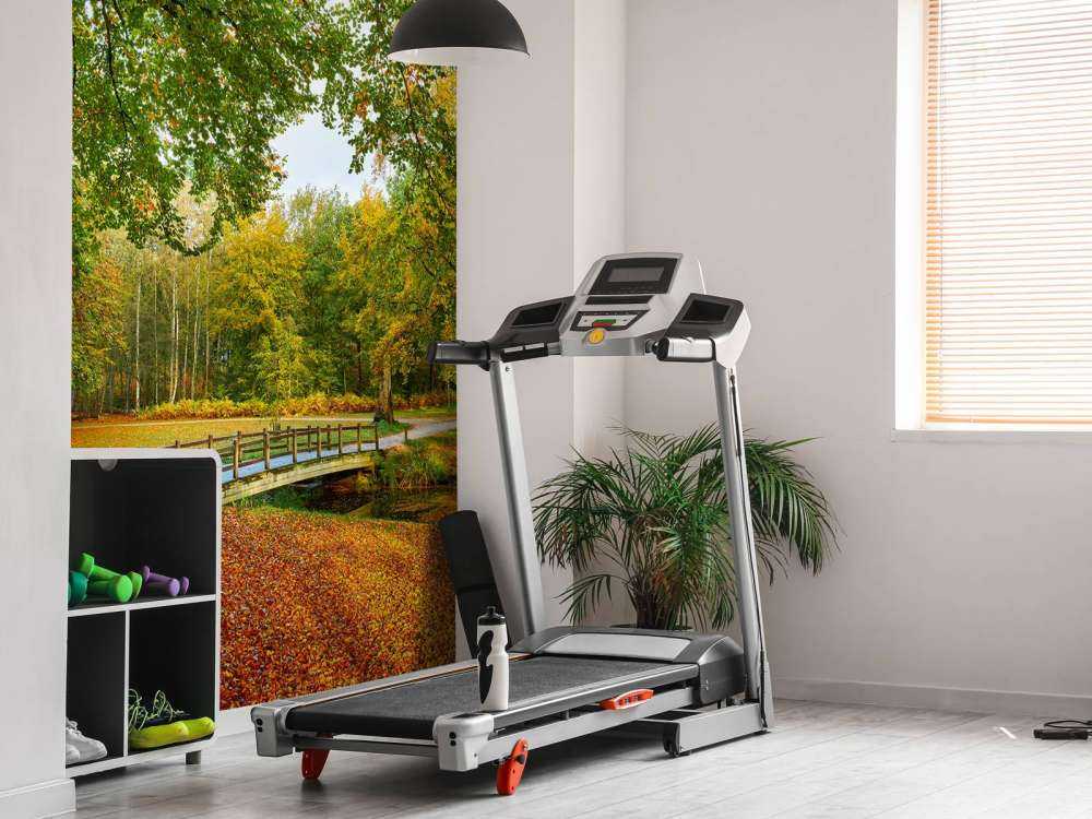 Un pont dans la forêt