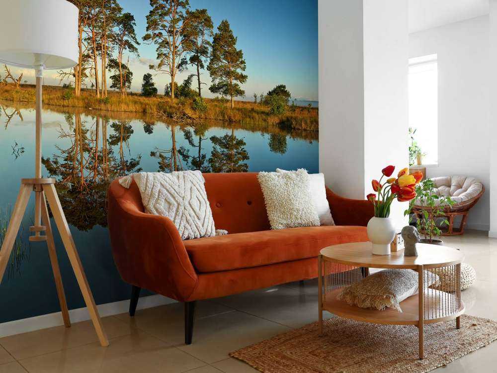 Réflexion dans un lac de forêt