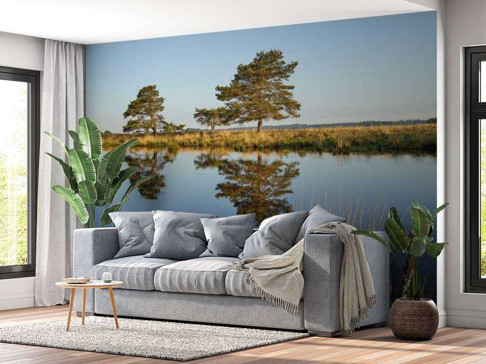 La forêt dans la lande