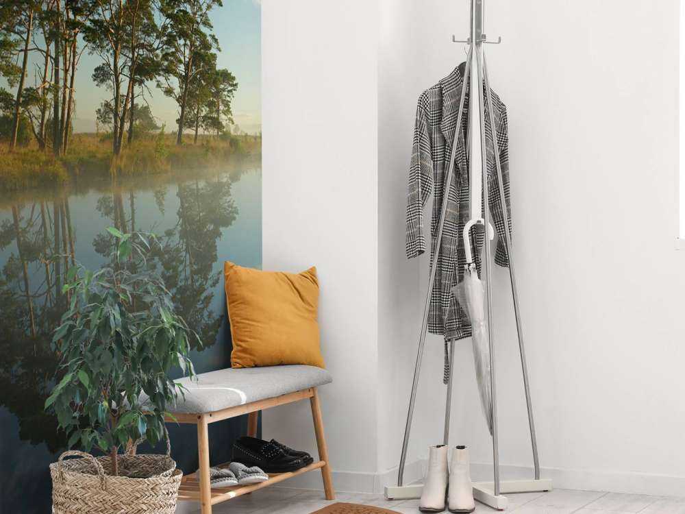 Réflexion dans la lande