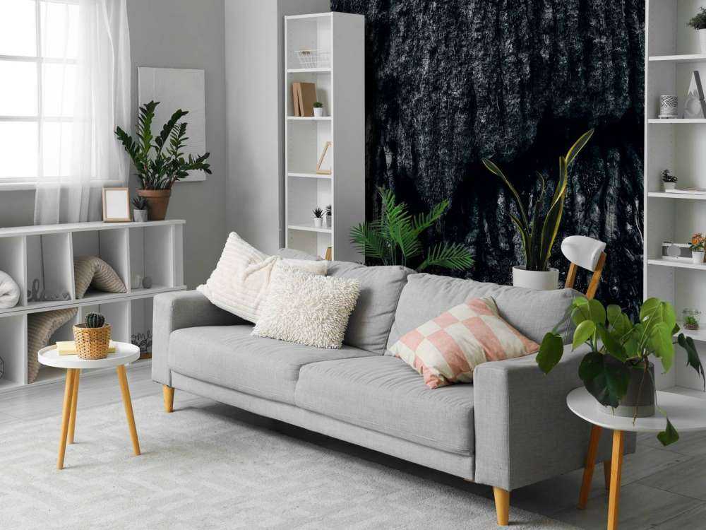 L'arbre, en noir et blanc