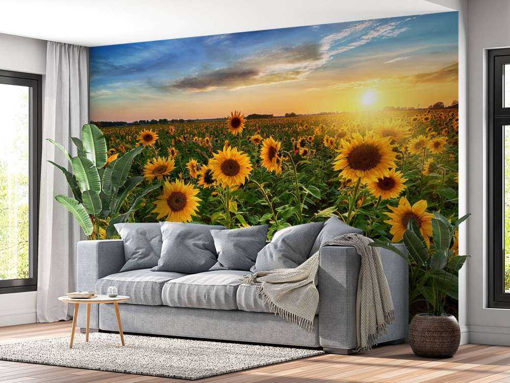 Un beau champ de tournesols
