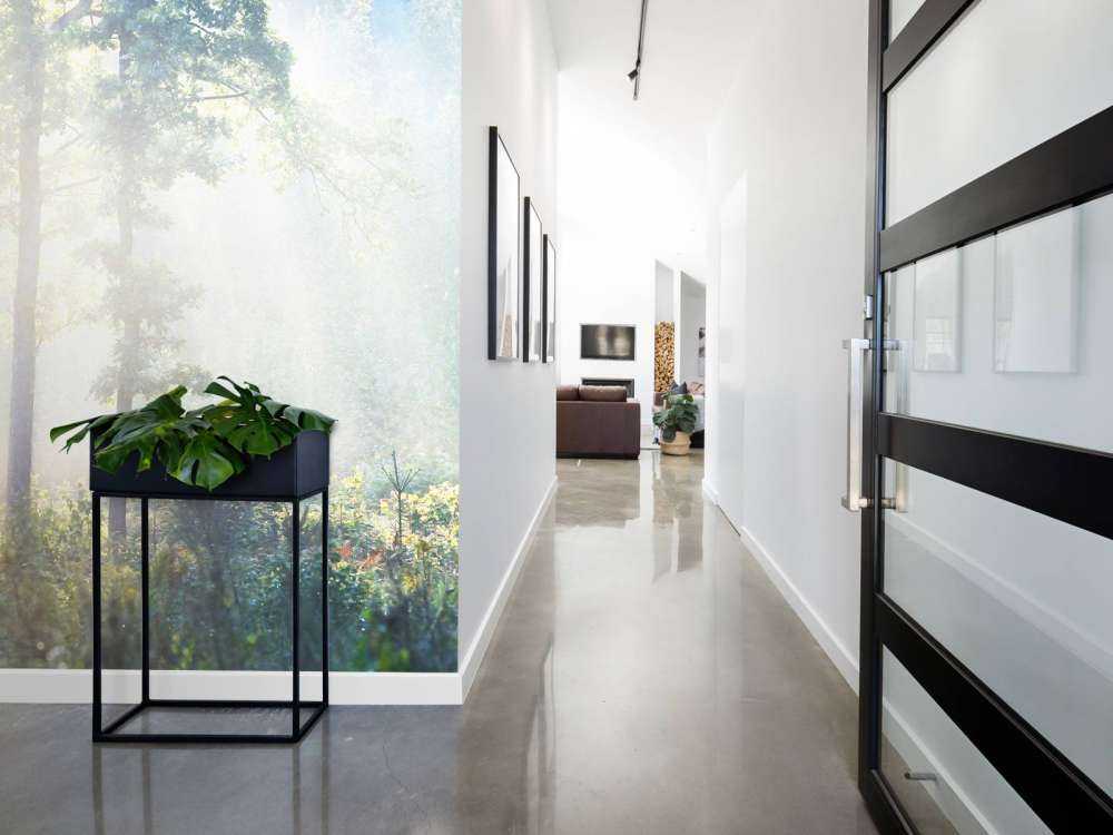 Une forêt mystérieuse