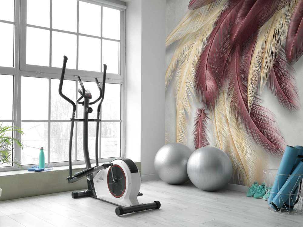 Plumes sur du béton