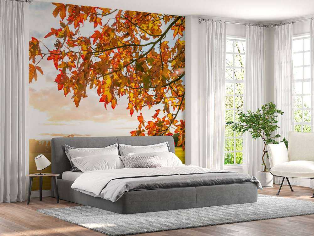 Arbre d'automne au coucher du soleil