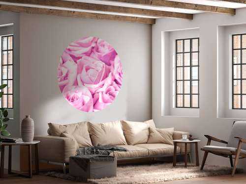 Plusieurs roses roses