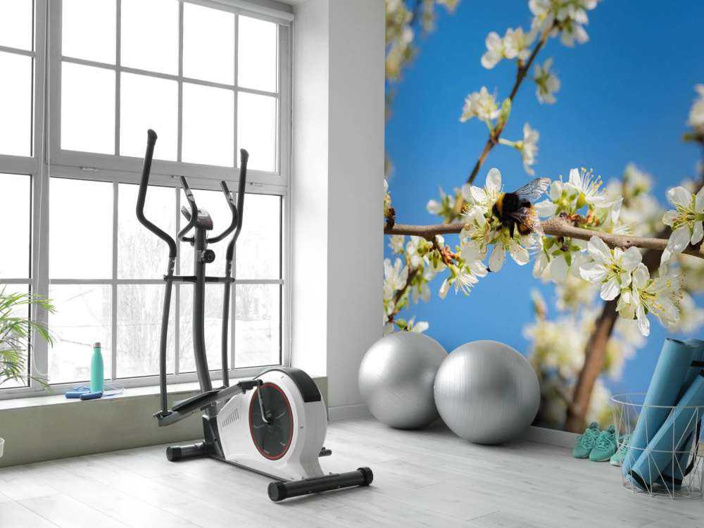 Bourdon avec des fleurs blanches