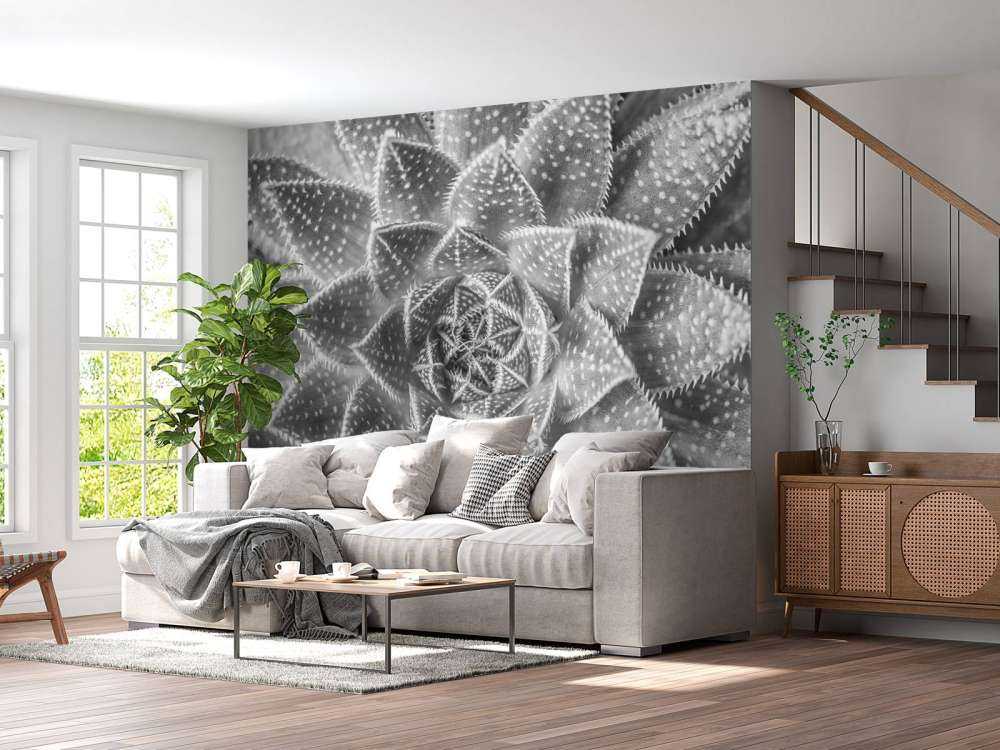 Succulente en noir et blanc