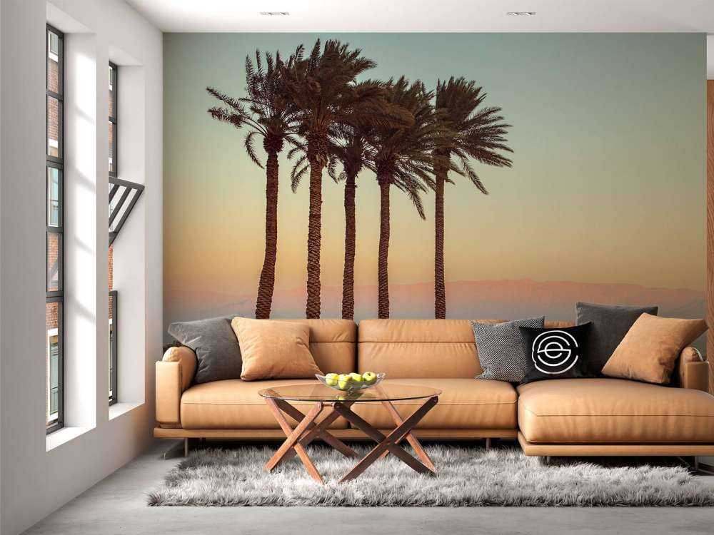 Palmiers au coucher du soleil