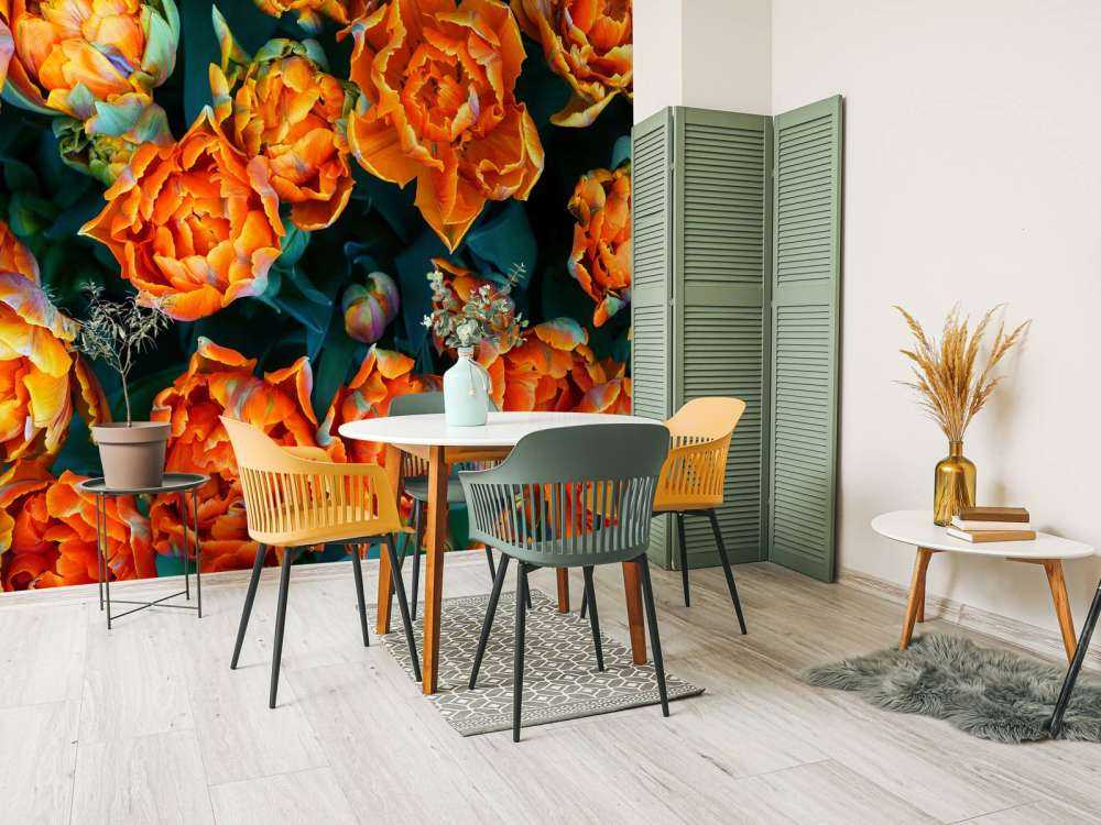 Gros plan sur des tulipes orange