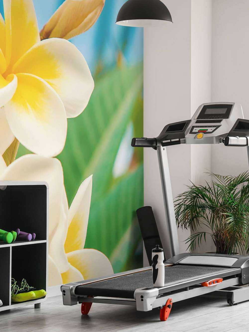 Fleur de plumeria blanc jaune