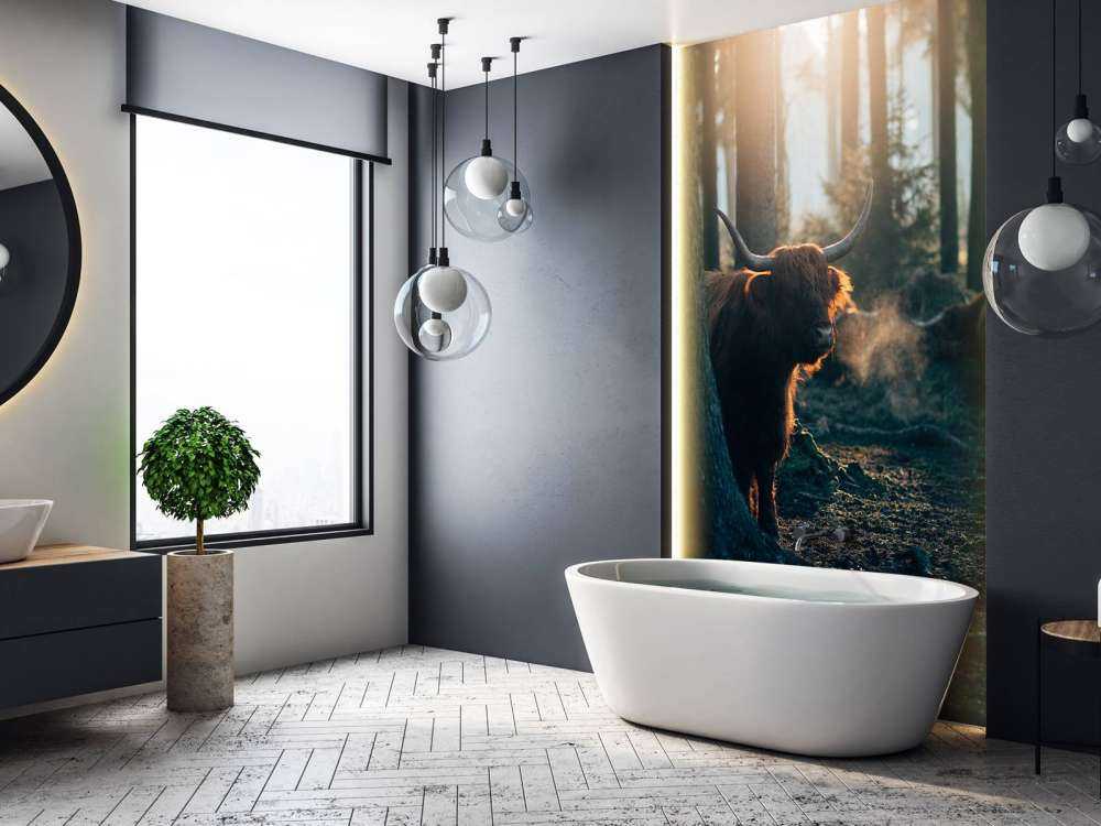 Le Highlander écossais au lever du soleil