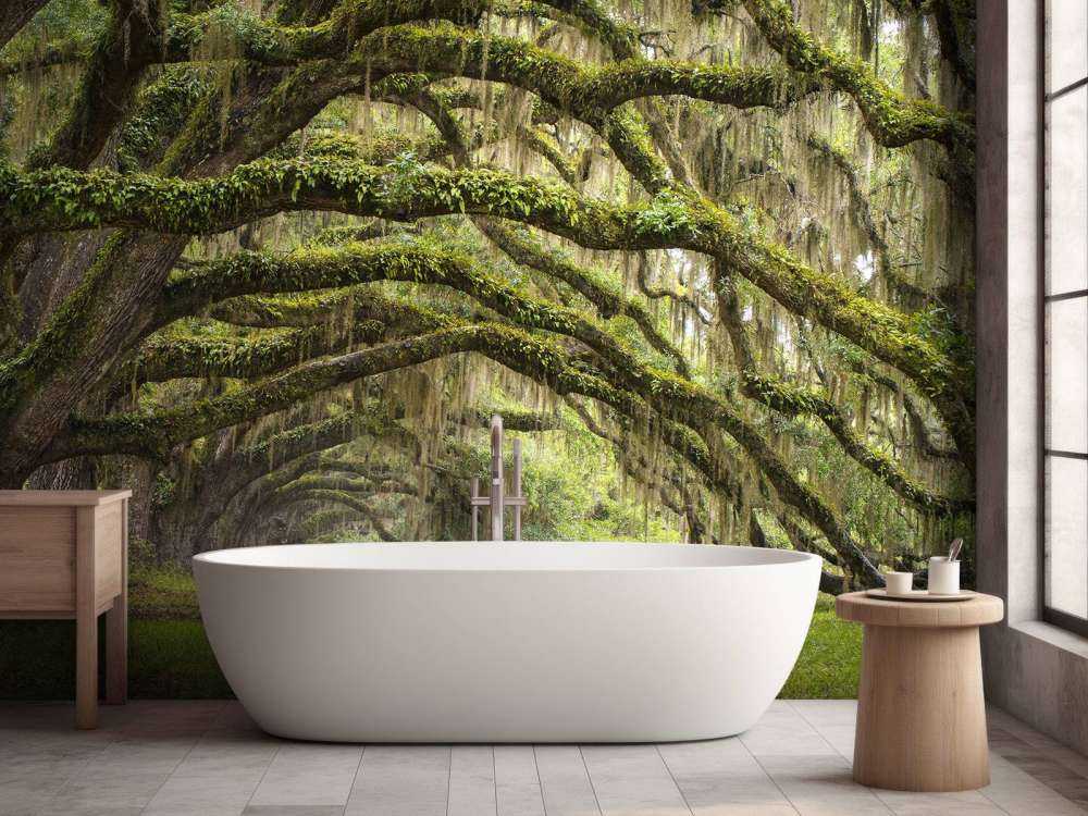 Forêt enchantée