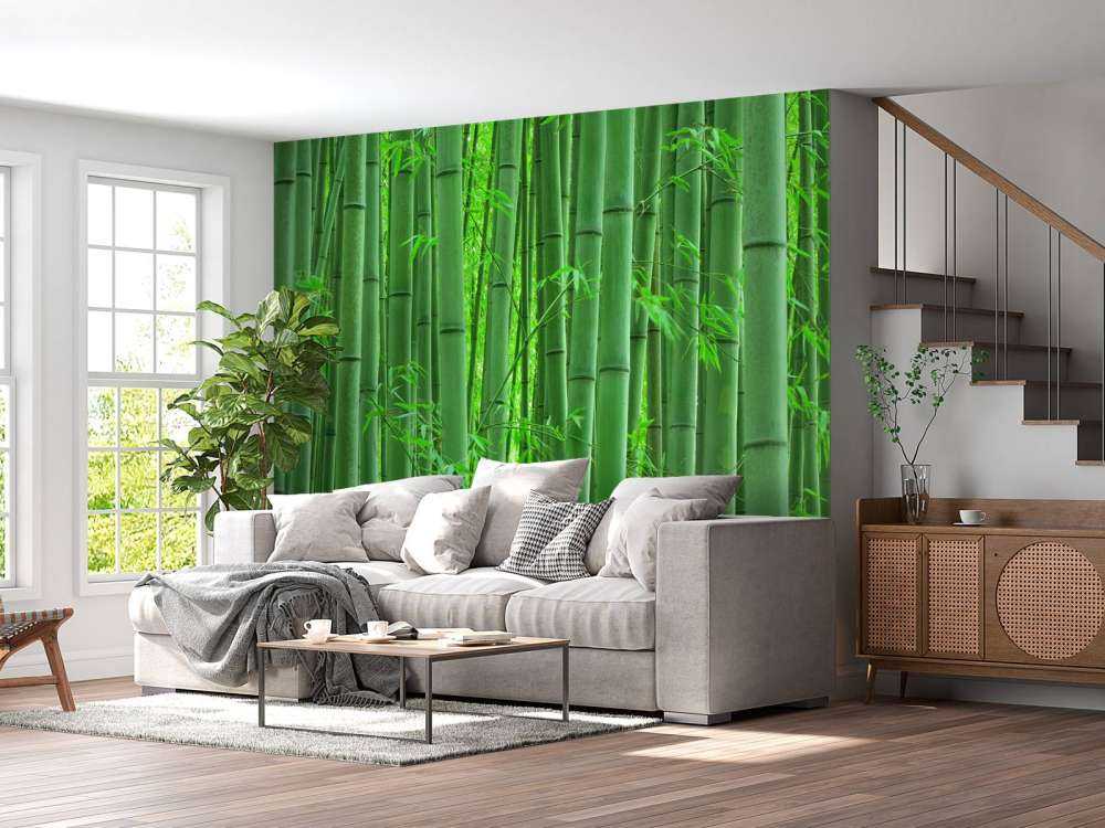 Gros plan sur une forêt de bambous