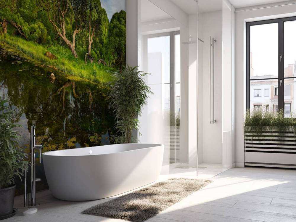 Arbres au bord d'un lac