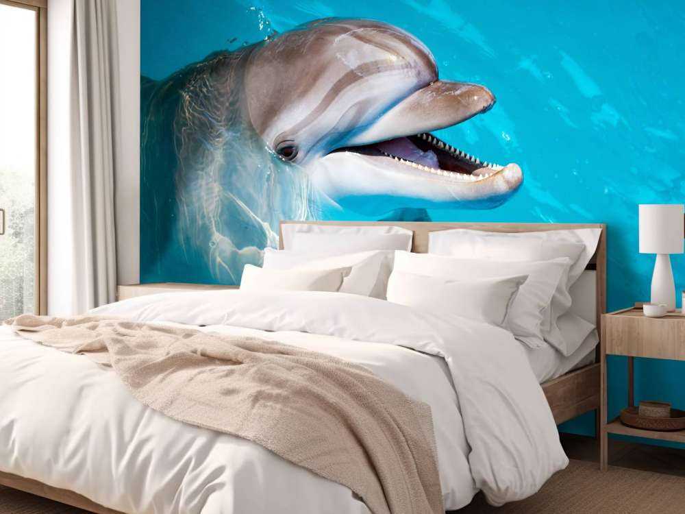 Un dauphin sympathique
