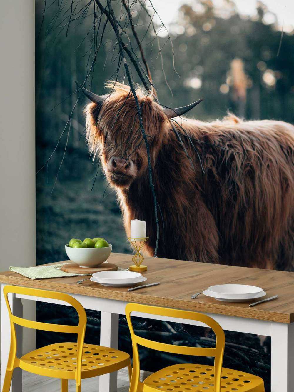 Highlander écossais à l'orée des bois