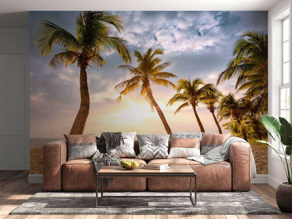 Palmiers à noix de coco contre le coucher du soleil