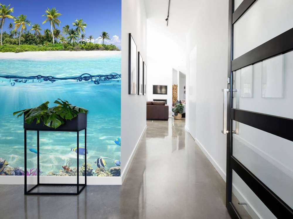 Île tropicale et récif corallien