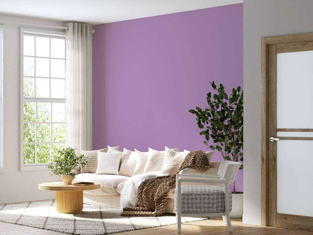 Violet pastel