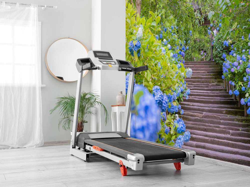 Fleurs bleues dans un parc