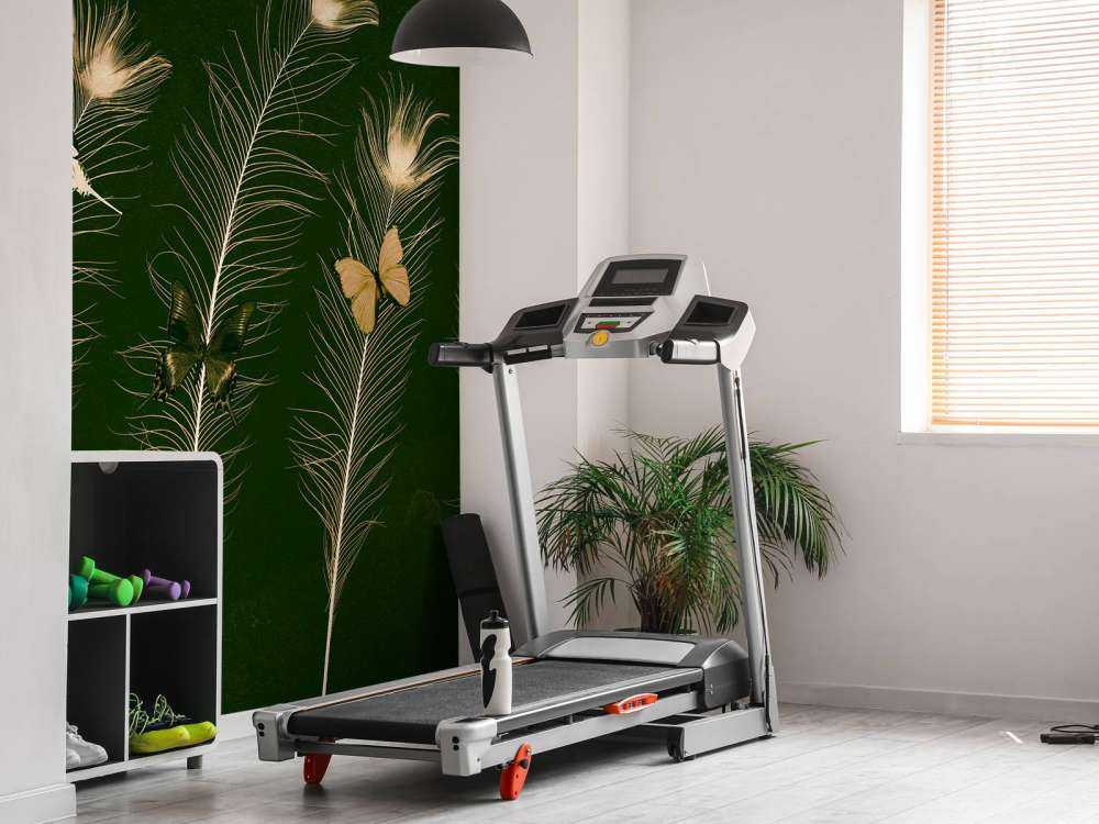 Papillons botaniques