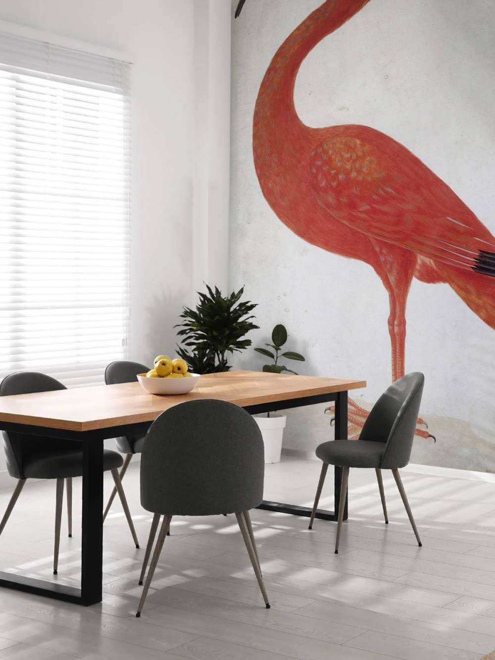 Ibis rouge à l'oeuf