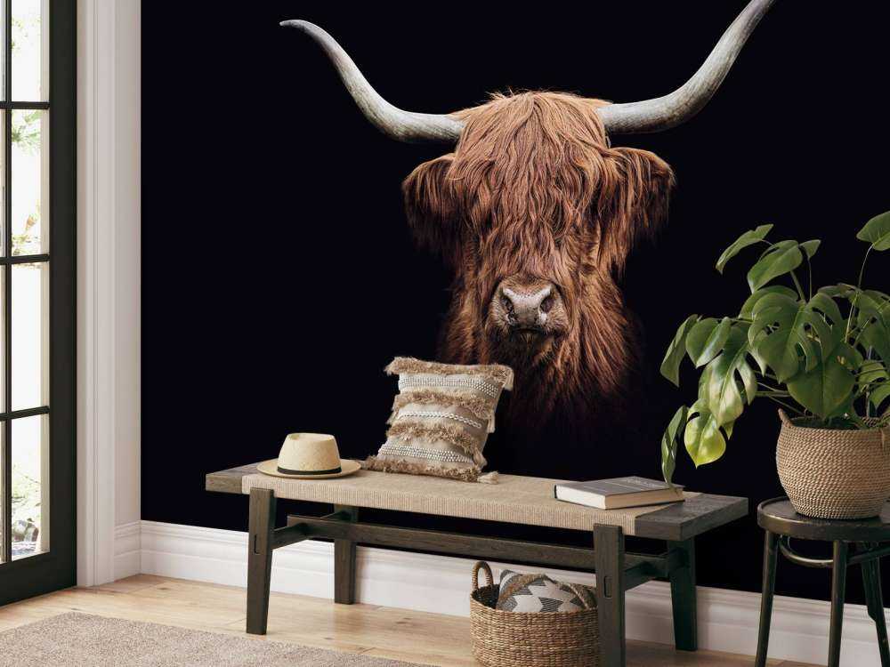 Highland écossais Vintage