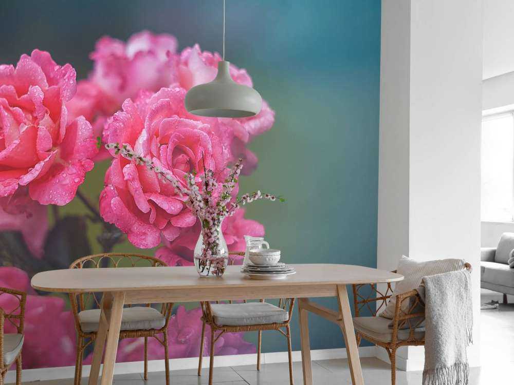 Branche de rose rose