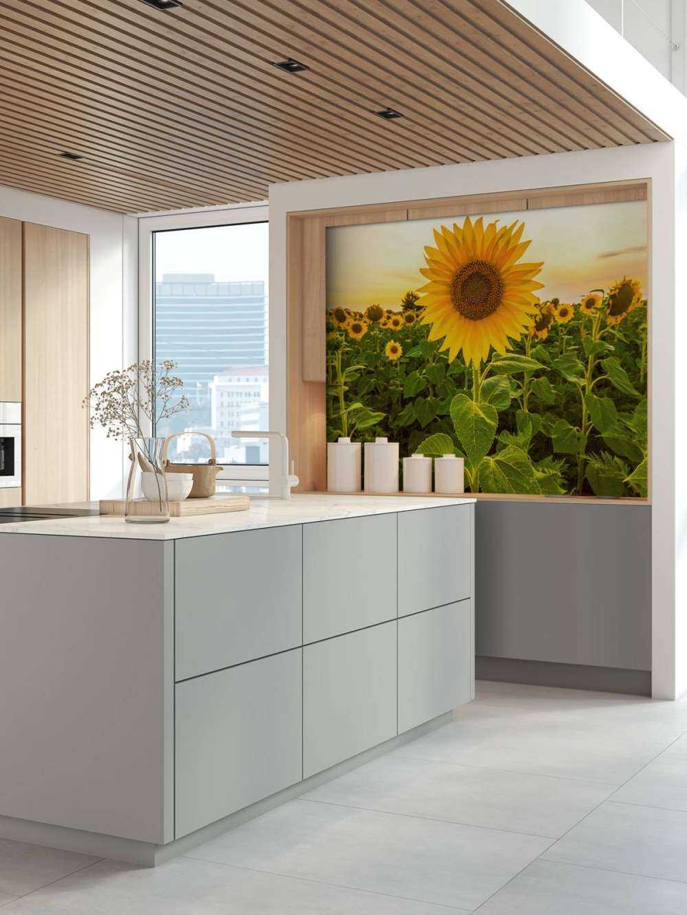 Le tournesol dans les champs