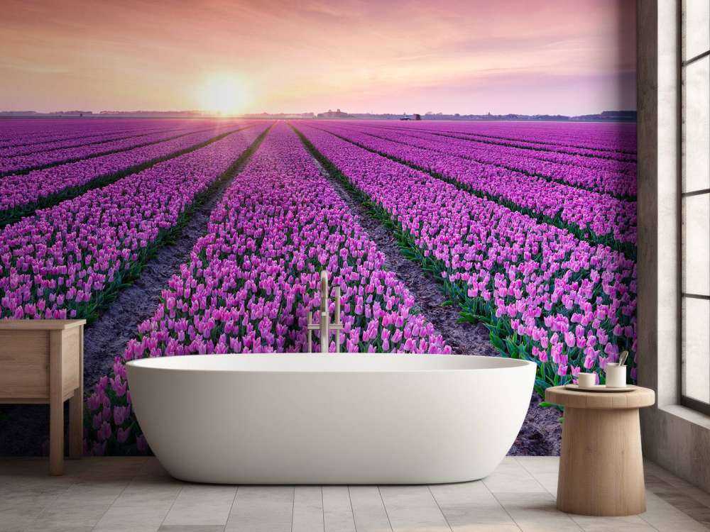 Champ de tulipes au lever du soleil