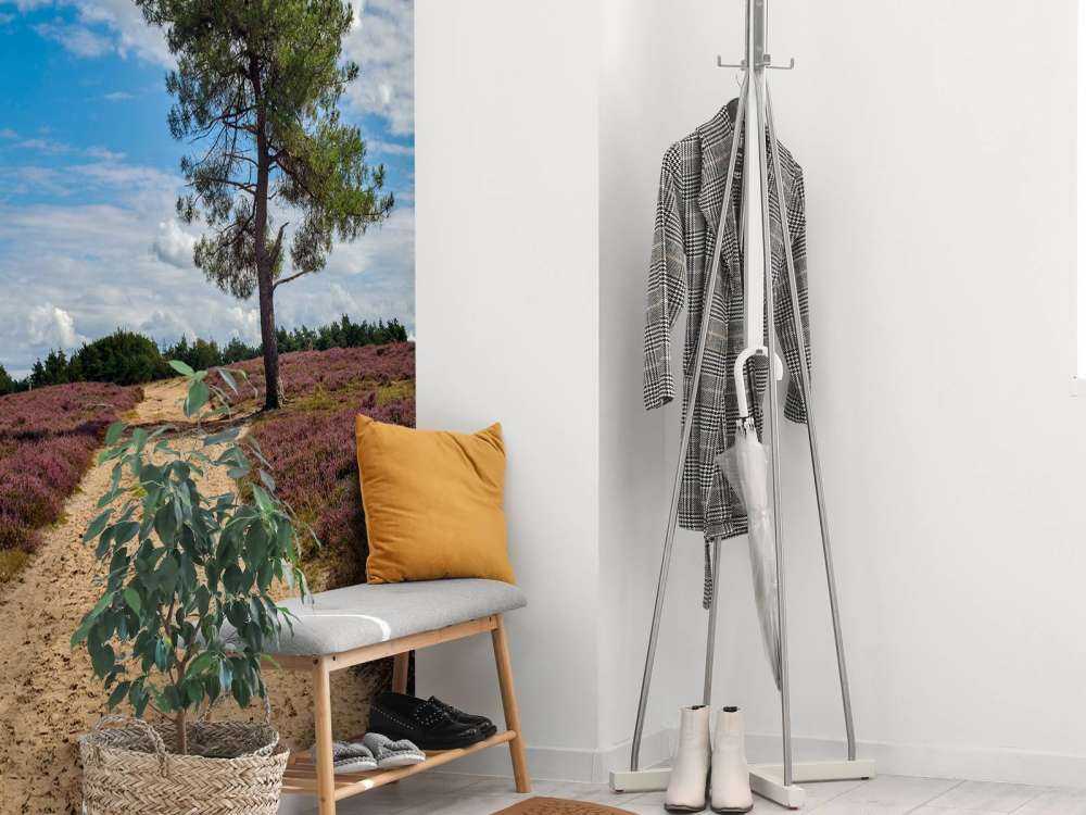 Un arbre dans la bruyère