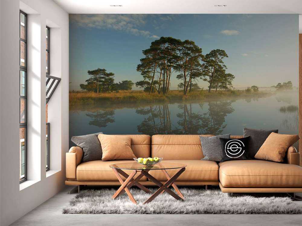 Réflexion dans la lande