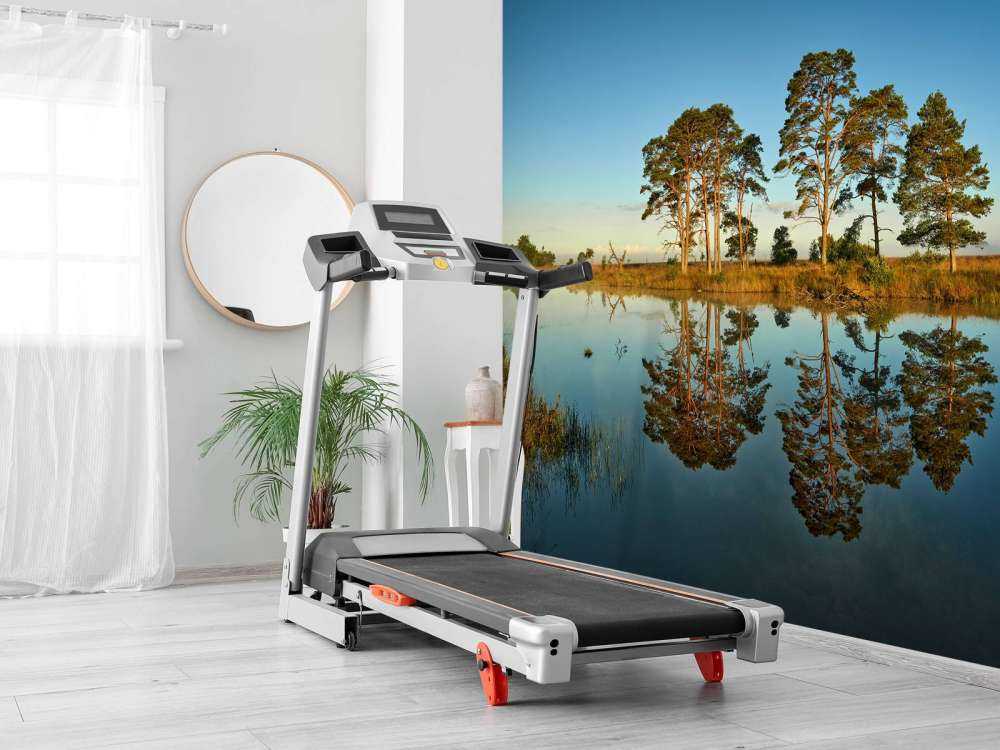 Réflexion dans un lac de forêt