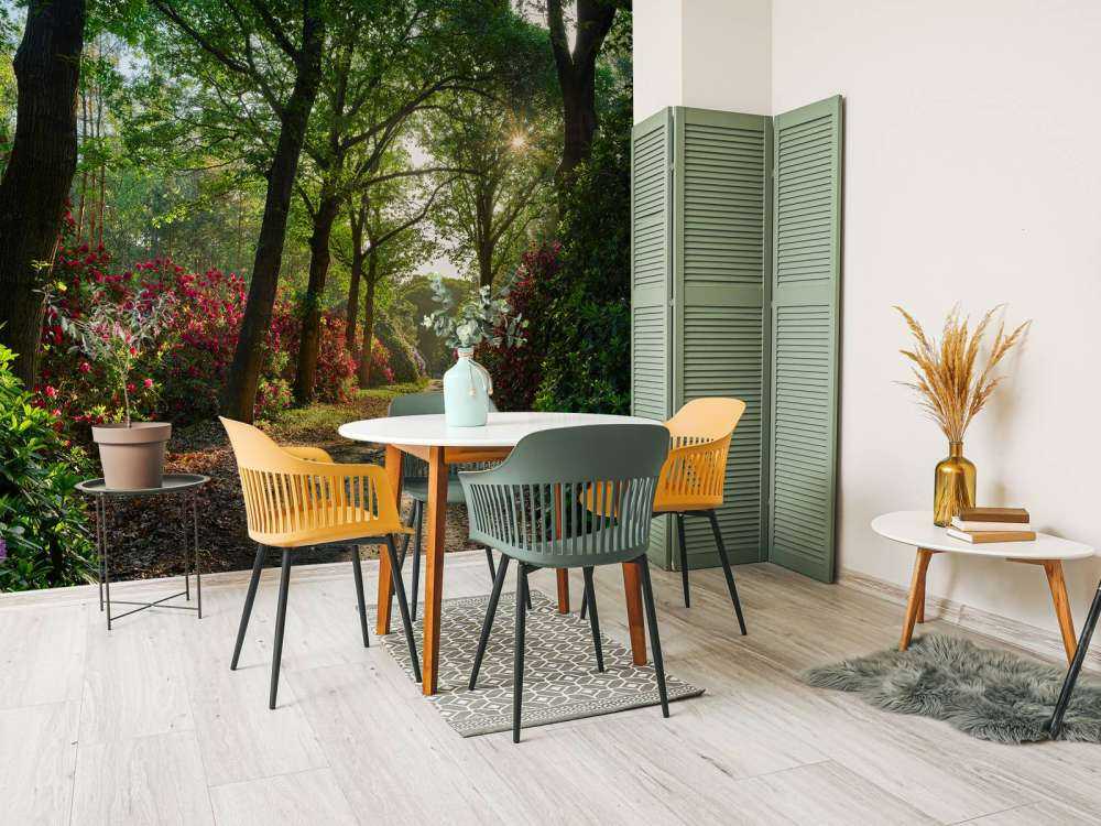 Lever de soleil sur le chemin avec des rhododendrons