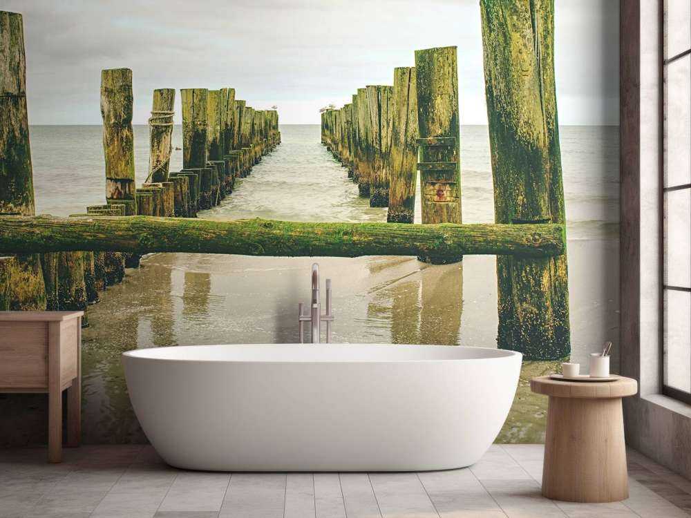 Des têtes de pieux moussues dans l'eau