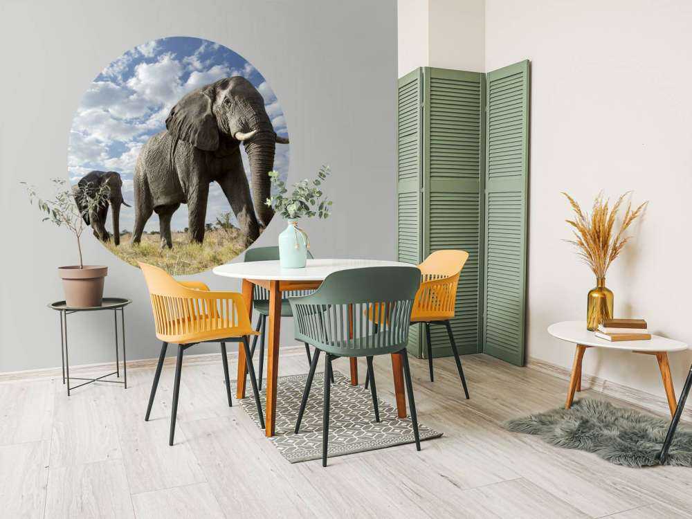 Le passage des éléphants