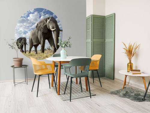 Le passage des éléphants