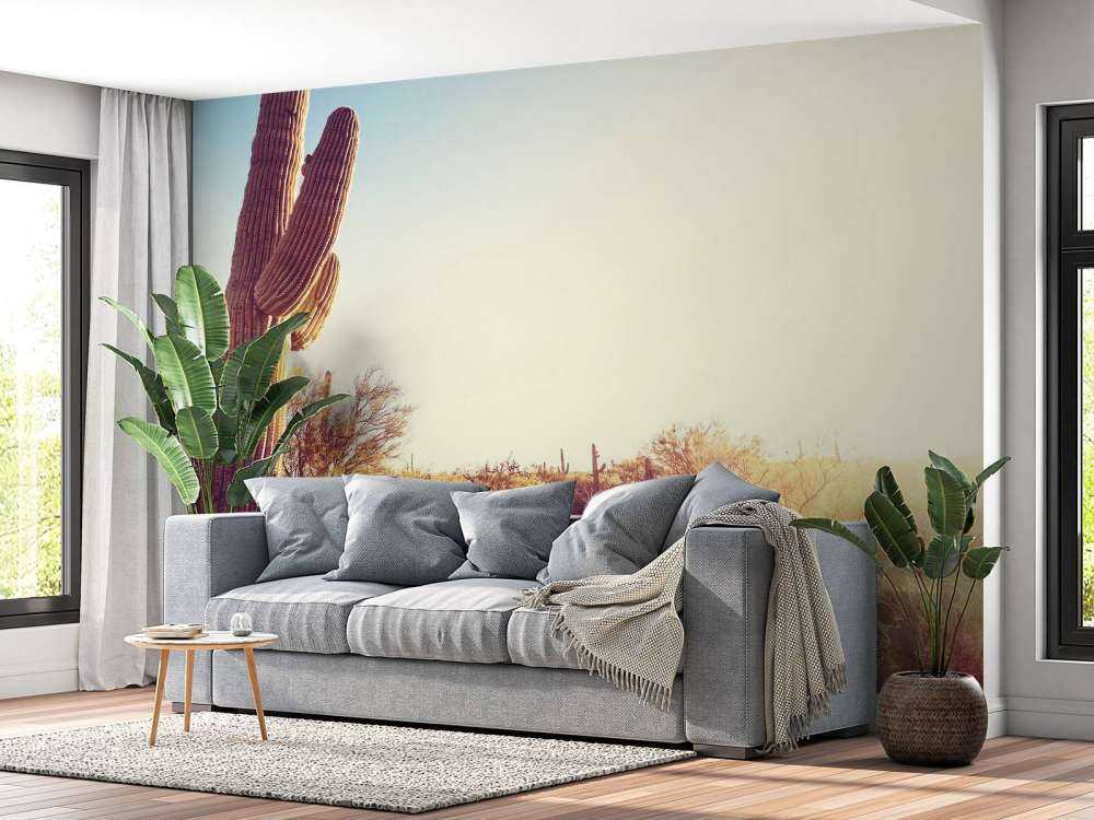 Cactus dans le désert