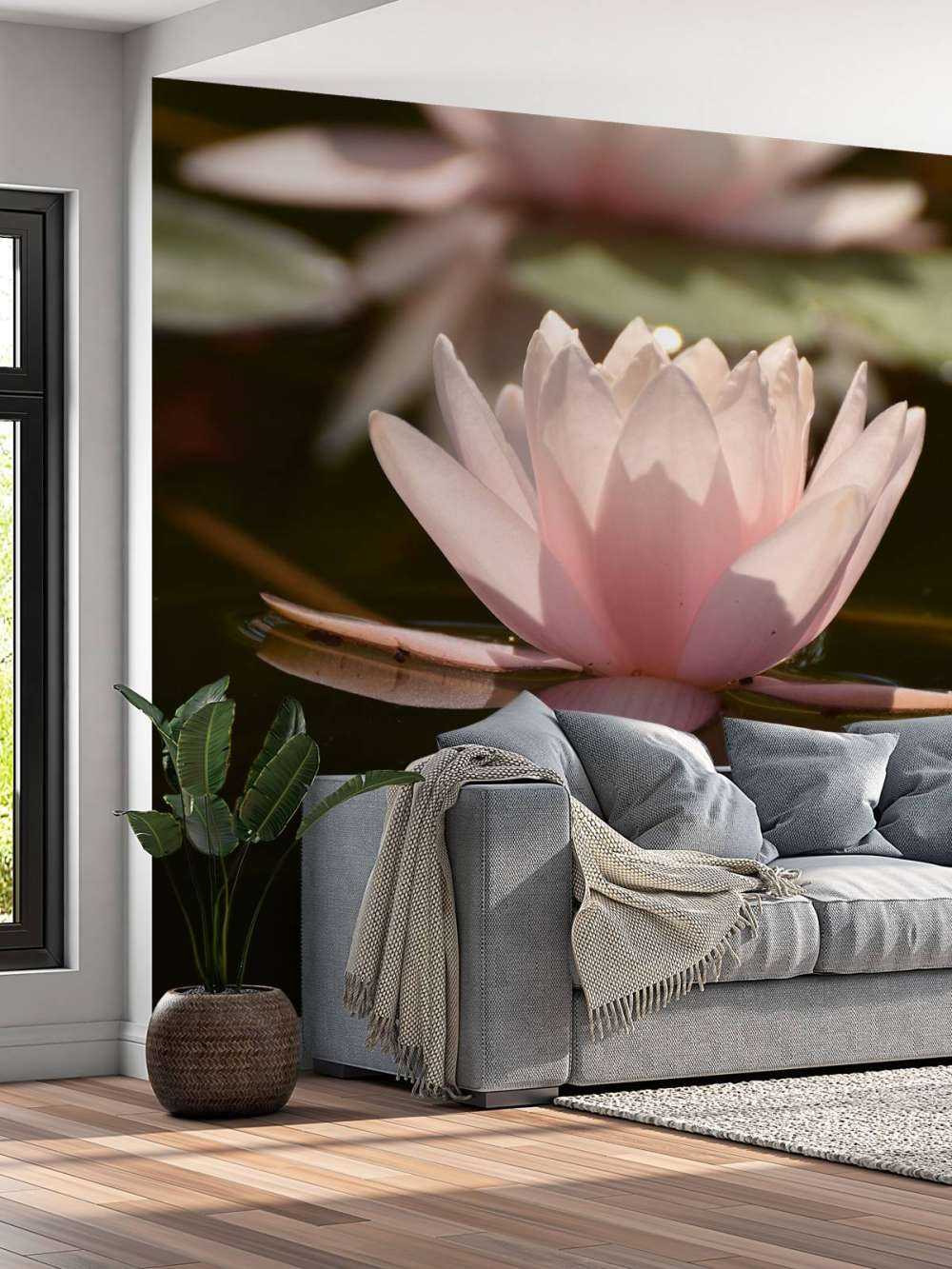 Fleur de lotus dans l'eau