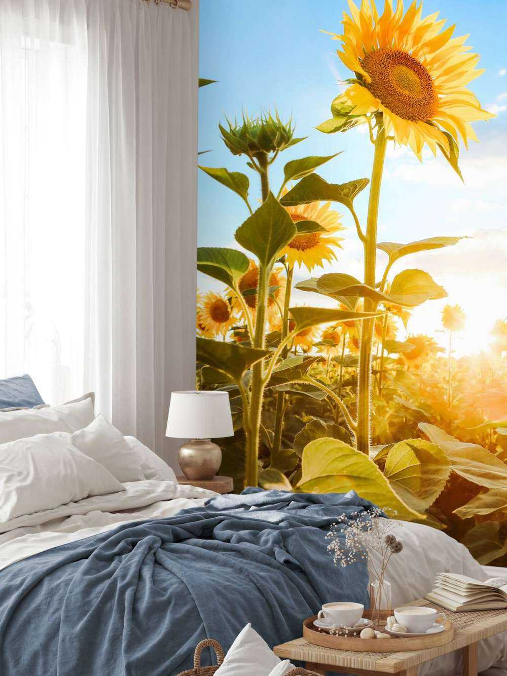 Tournesol avec ciel bleu