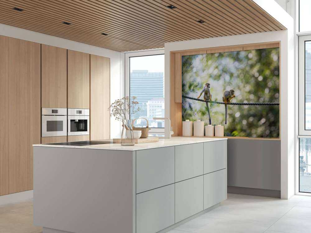 Singes écureuils sur corde