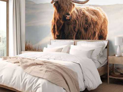 Un Highland écossais sur une colline