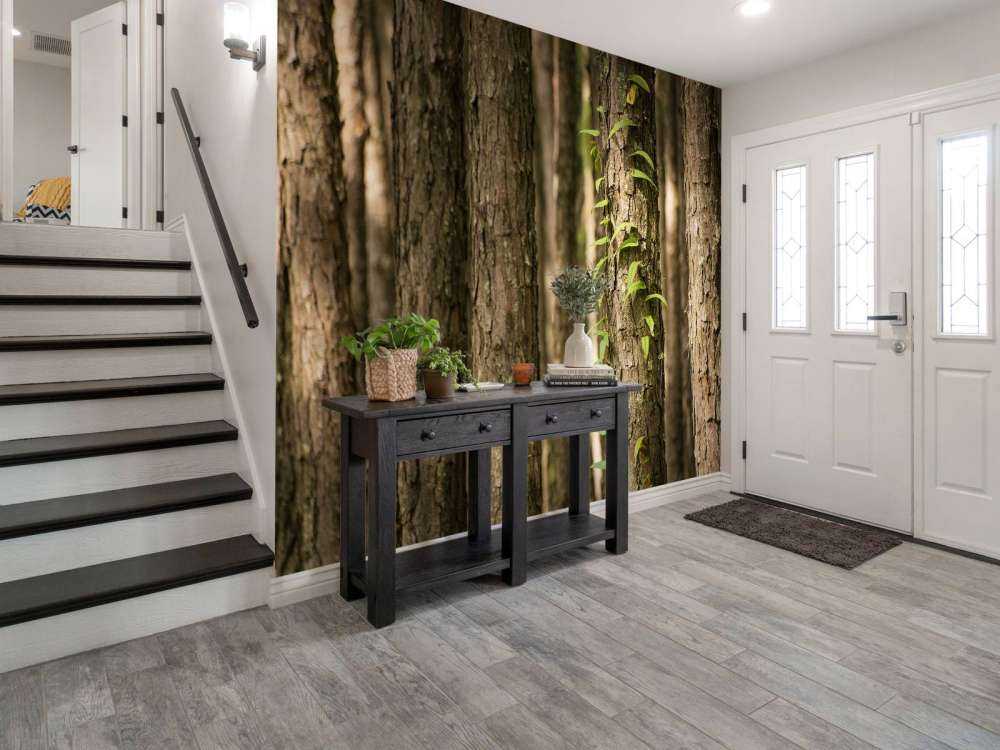 Troncs d'arbres minces